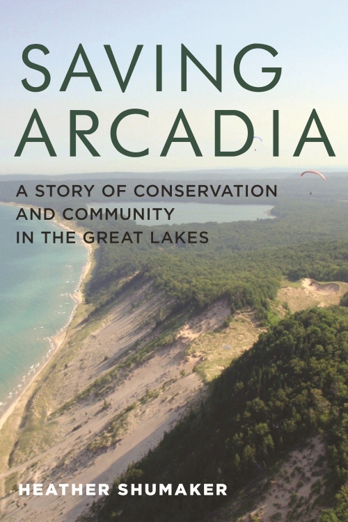 book cover of Saving Arcadia